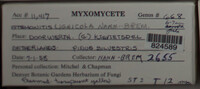 Image Associated With the Occurence